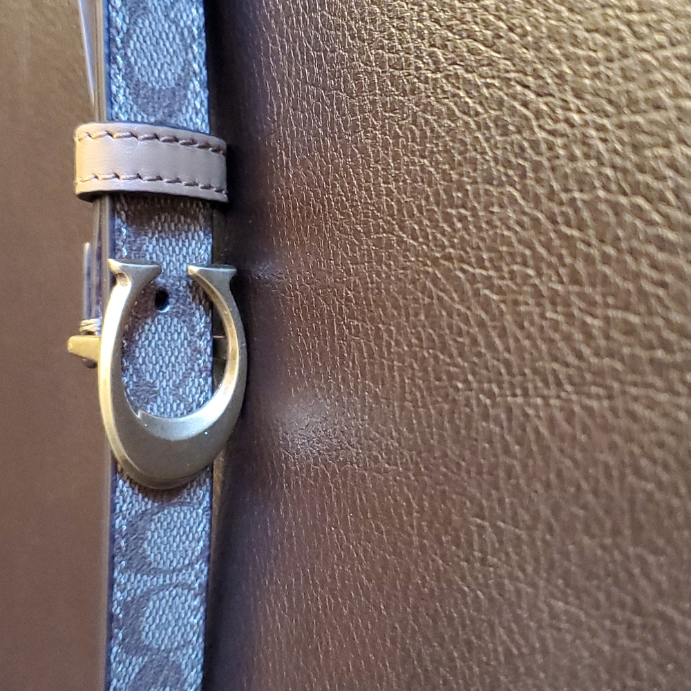 Coach Belt